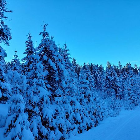 Ubytovani Na Lipne Černá v Pošumaví Exterior foto