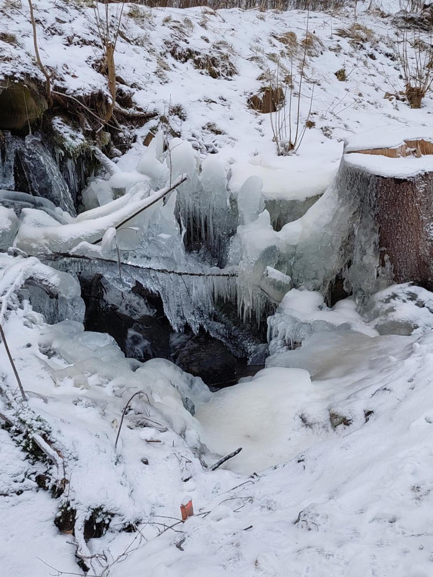 Ubytovani Na Lipne Černá v Pošumaví Exterior foto